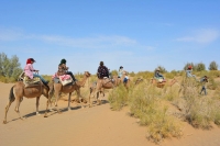 شتر سواری
